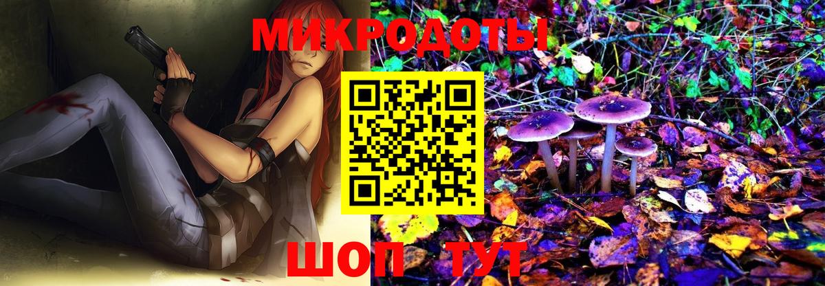 купить   Псилоцибиновые грибы MAGIC MUSHROOMS  Вход с VPN  Галлюциногенные грибы Magic Shrooms  Куйбышев 