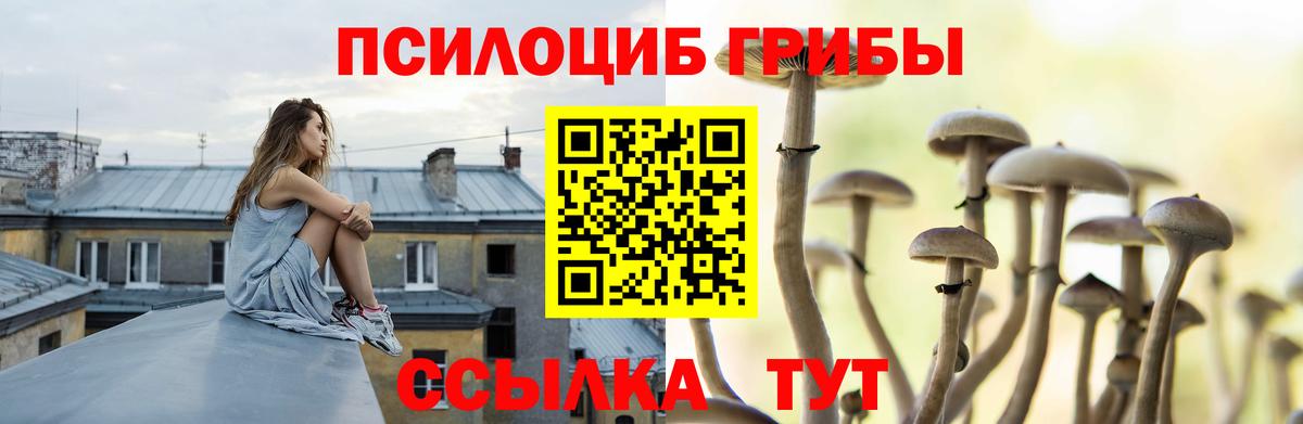 Псилоцибиновые грибы мухоморы Куйбышев